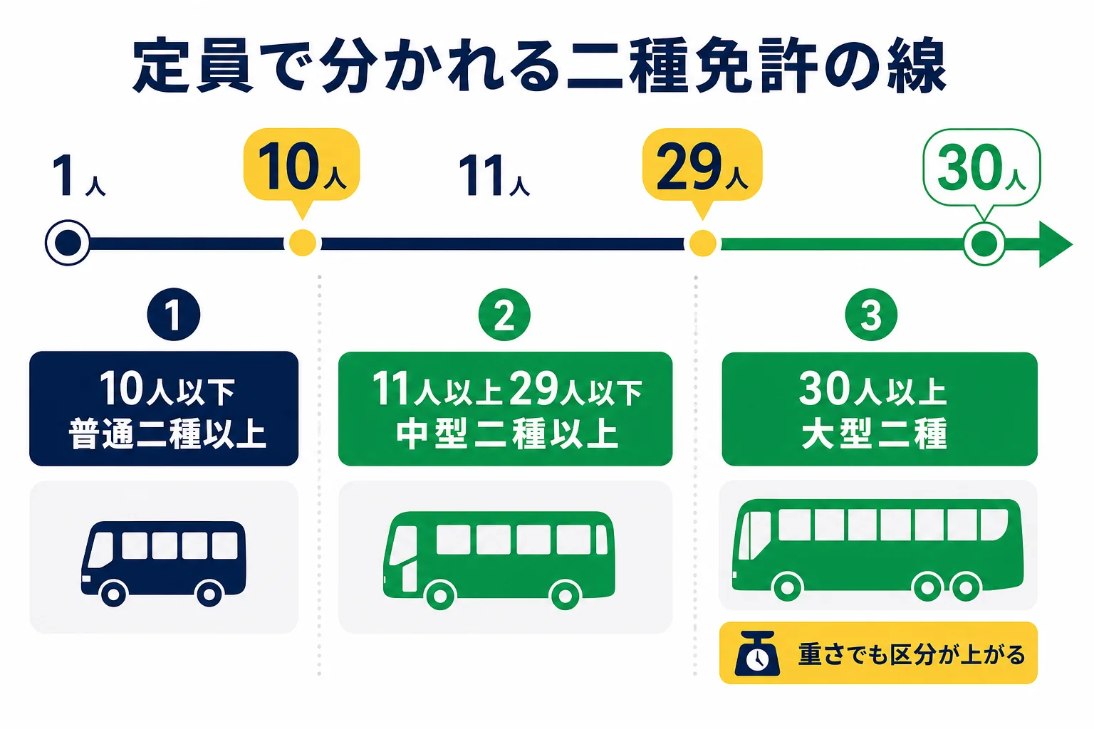 乗車定員10人・11人・29人・30人を境に、お客さんを乗せる時に必要な二種免許が普通・中型・大型に分かれる線を示した図解