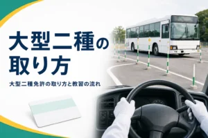 大型二種免許の取り方を、入校から卒業検定・学科試験・免許証の交付までの流れで紹介する記事のアイキャッチ