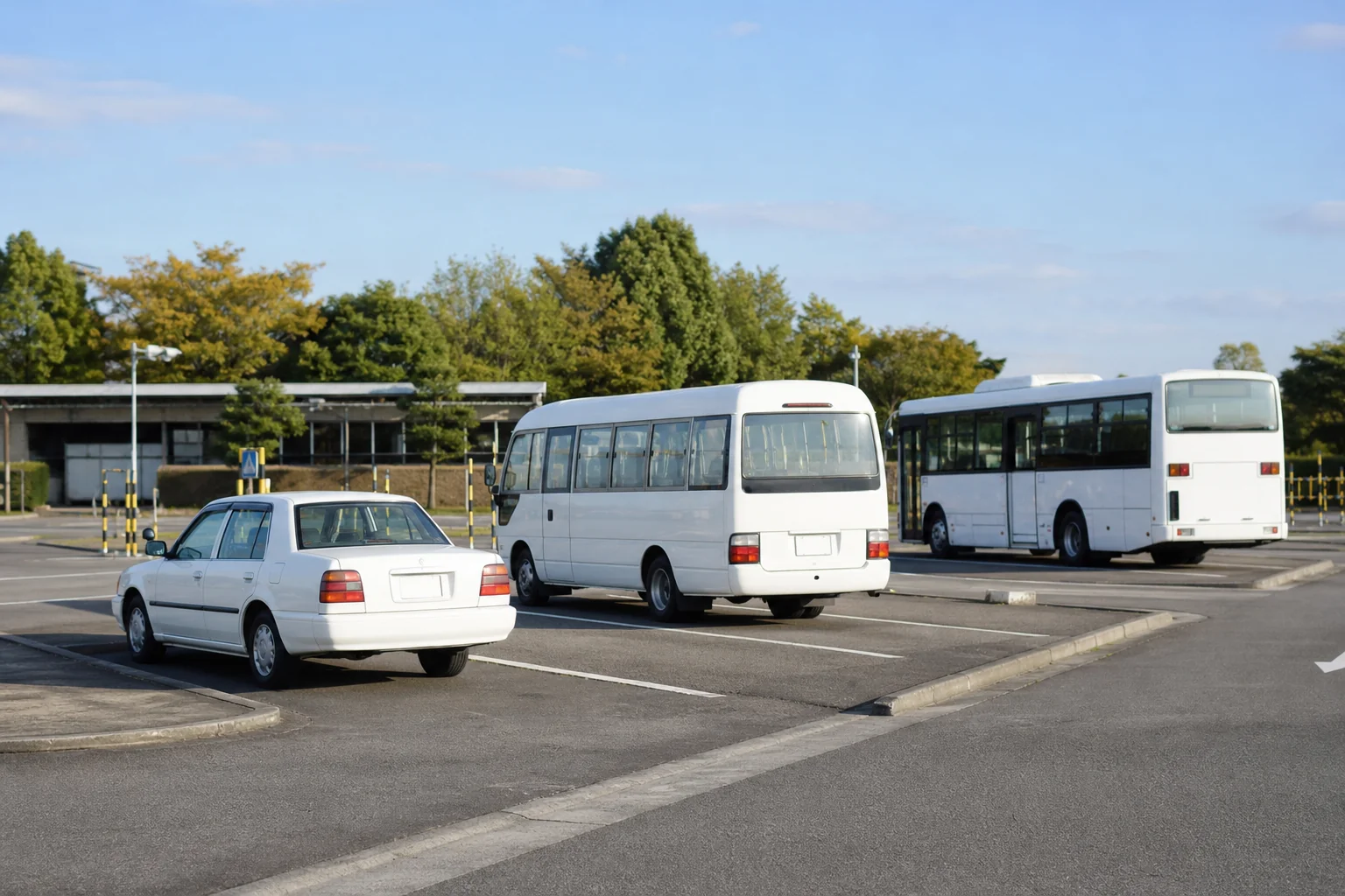 普通自動車・中型自動車・大型自動車にあたる教習車とバスが、教習所の構内に並んでいる写真